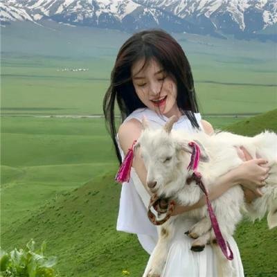 恶搞之家第十三季
